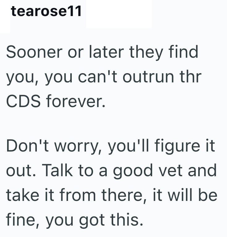tearose11 Sooner or later they find you, you can't outrun thr CDS forever. Don't worry, you'll figure it out. Talk to a good vet and take it from there, it will be fine, you got this.
