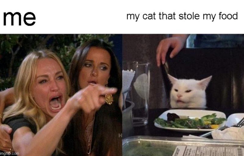 me mgflip.com H my cat that stole my food