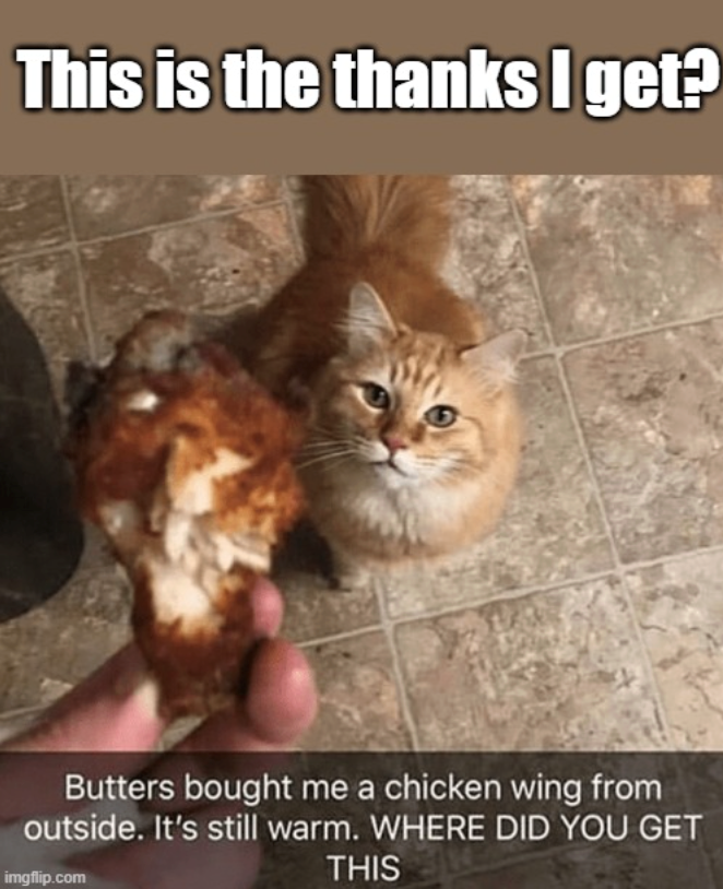 This is the thanks I get? Butters bought me a chicken wing from outside. It's still warm. WHERE DID YOU GET imgflip.com THIS