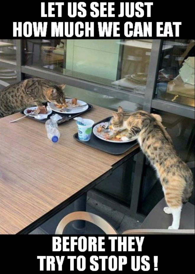 LET US SEE JUST HOW MUCH WE CAN EAT BEFORE THEY TRY TO STOP US!
