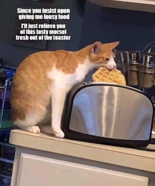 Since you insist upon giving me lousy food I'll just relieve you of this tasty morsel fresh out of the toaster EXE CL)