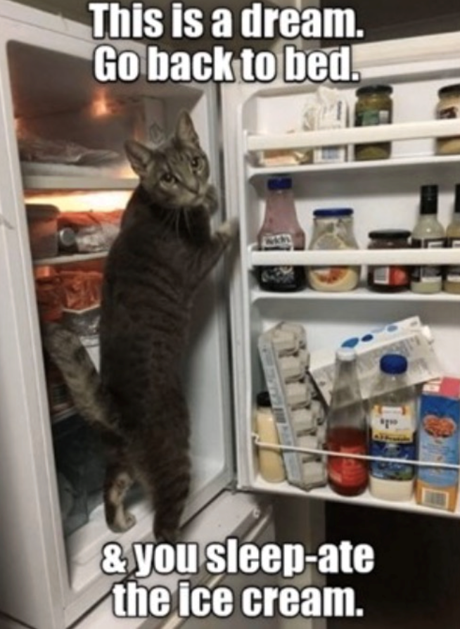This is a dream. Go back to bed. & you sleep-ate the ice cream. יין