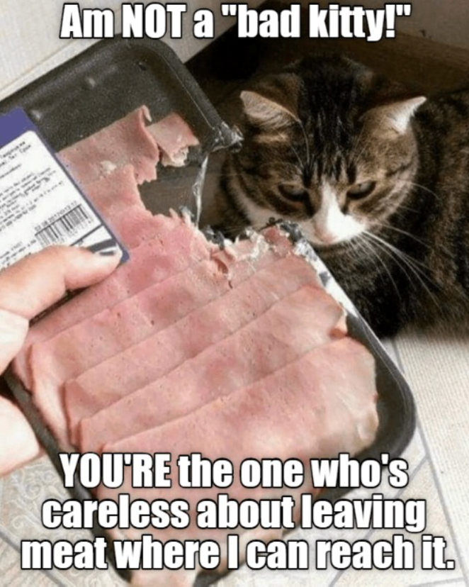 Am NOT a "bad kitty!" YOU'RE the one who's careless about leaving meat where I can reach it.