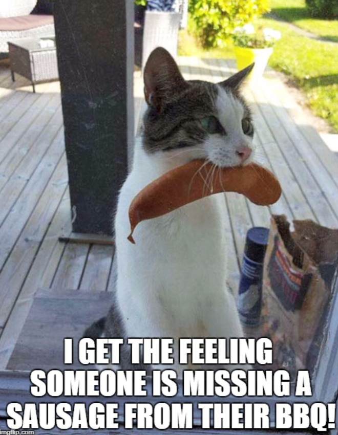 I GET THE FEELING SOMEONE IS MISSING A SAUSAGE FROM THEIR BBQ! imgflip.com