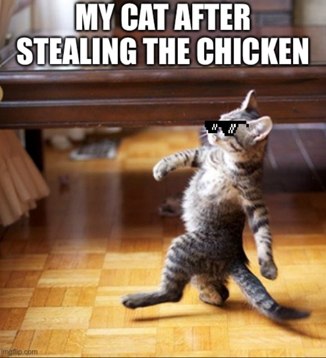 MY CAT AFTER STEALING THE CHICKEN imgflip.com