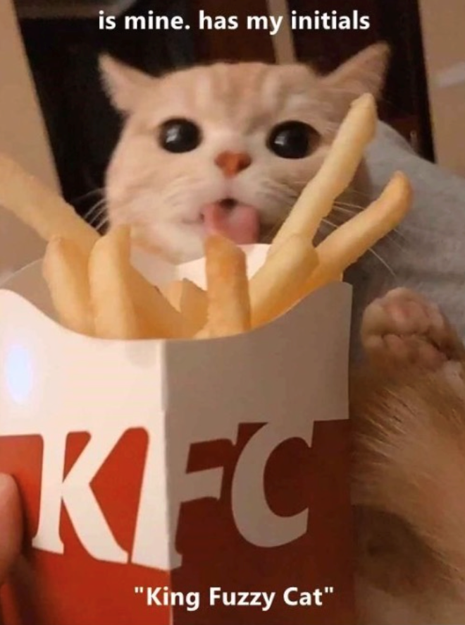 is mine. has my initials KFC "King Fuzzy Cat"