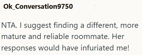 Ok_Conversation9750 NTA. I suggest finding a different, more mature and reliable roommate. Her responses would have infuriated me!