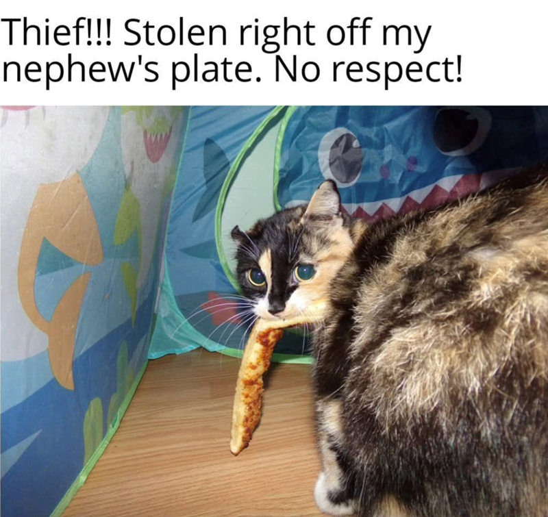 Thief!!! Stolen right off my nephew's plate. No respect!