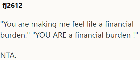 fj2612 "You are making me feel lile a financial burden." "YOU ARE a financial burden!" NTA.