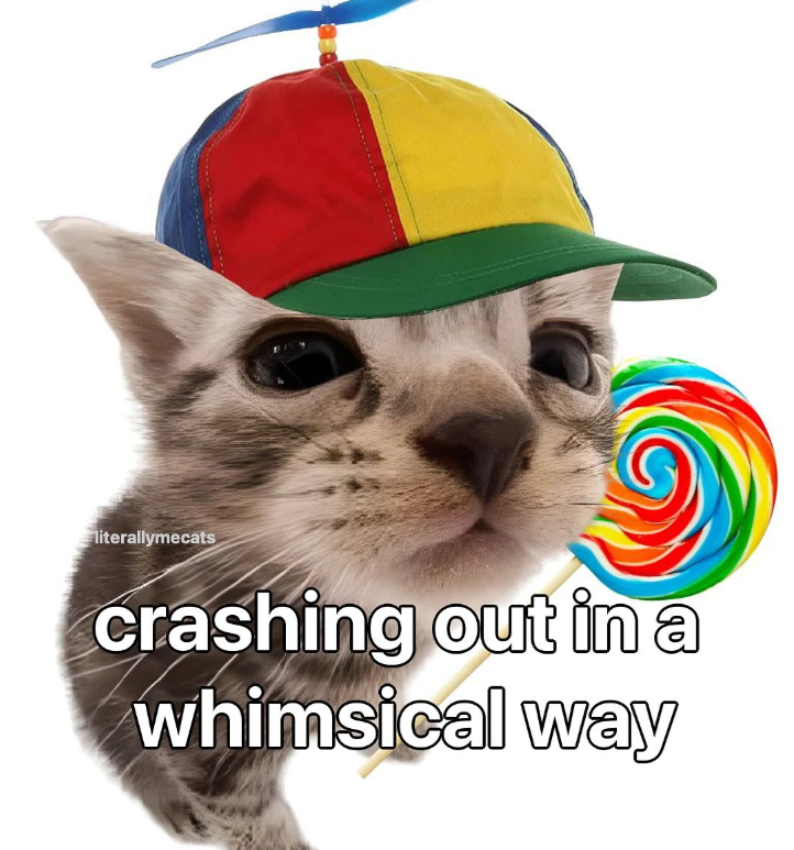 literallymecats crashing out in a whimsical way
