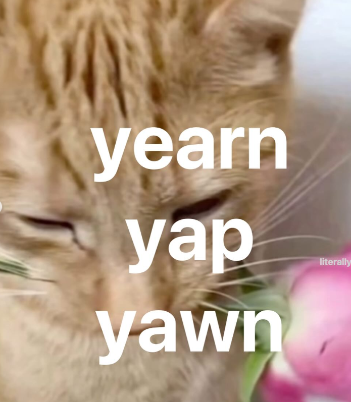 yearn yap yawn literally