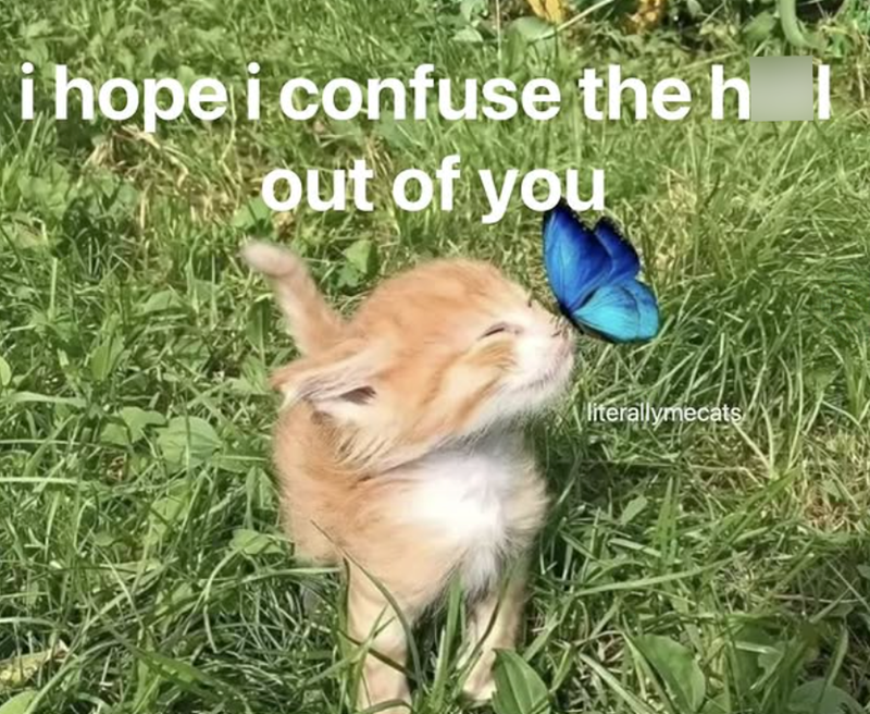 i hope i confuse the h out of you literallymecats