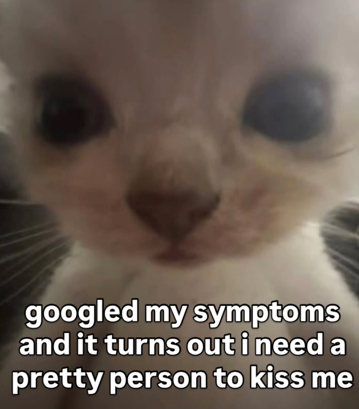 googled my symptoms and it turns out i need a pretty person to kiss me