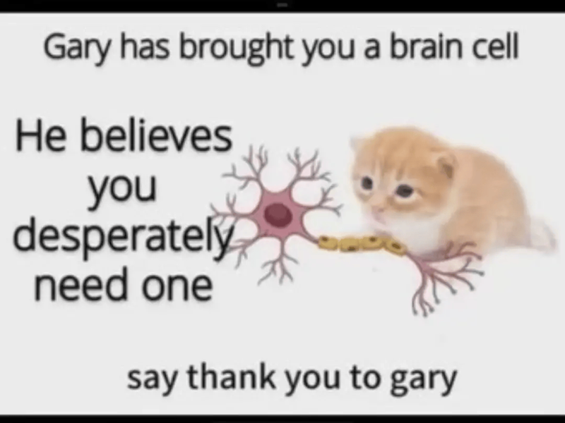 Gary has brought you a brain cell He believes you desperately need one say thank you to gary
