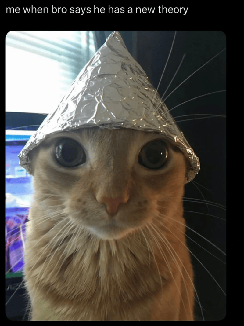 me when bro says he has a new theory