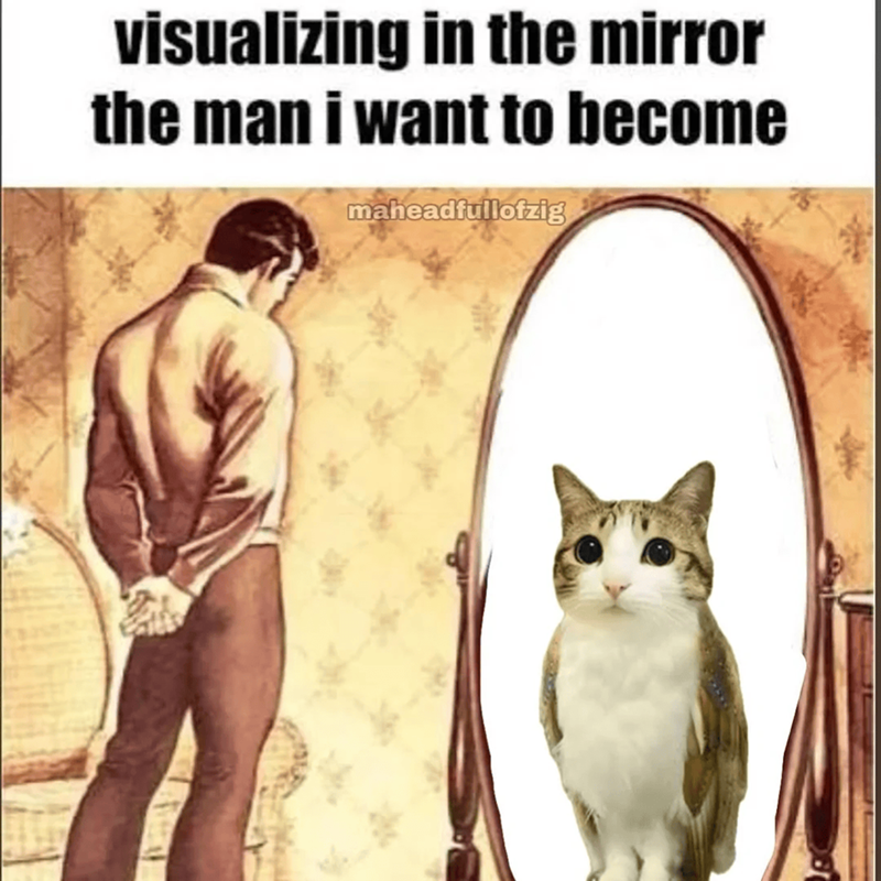 visualizing in the mirror the man i want to become maheadfullotzig