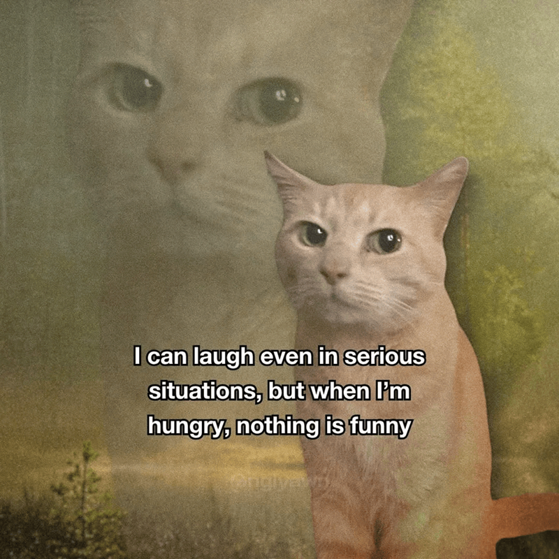 I can laugh even in serious situations, but when I'm hungry, nothing is funny