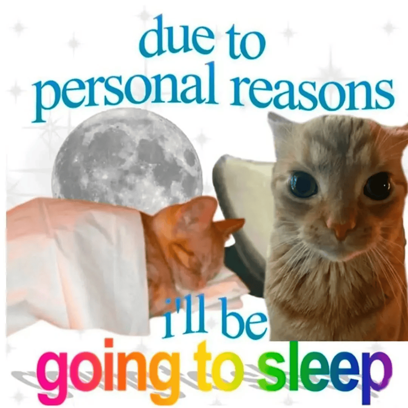 due to personal reasons I'll be going to sleep