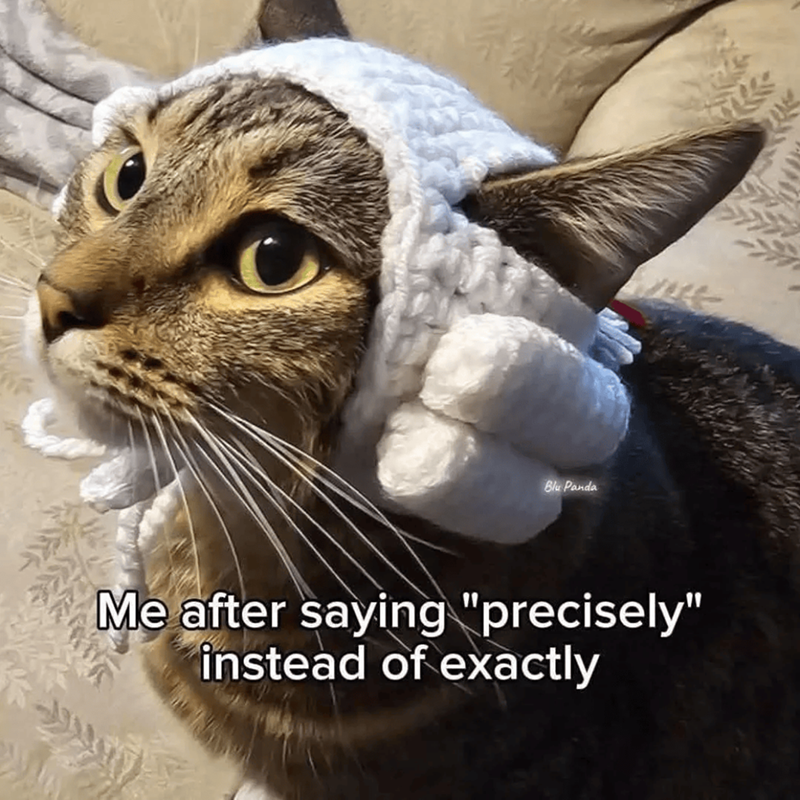 Blu Panda Me after saying "precisely" instead of exactly