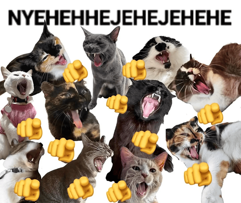 NYEHEHHEJEHEJEHEHE
