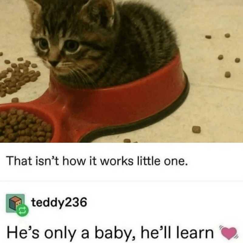 That isn't how it works little one. teddy236 He's only a baby, he'll learn