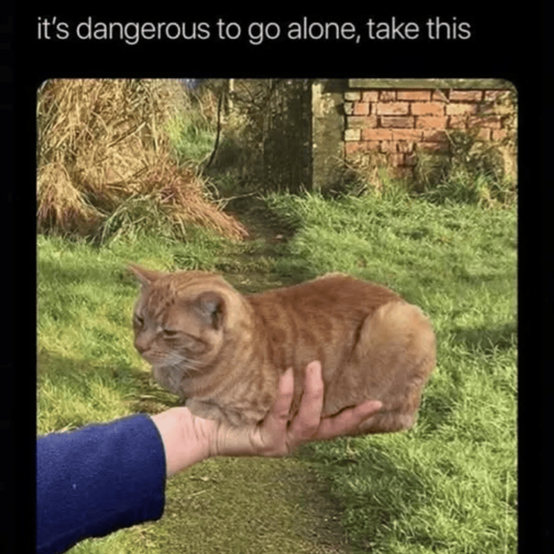 it's dangerous to go alone, take this