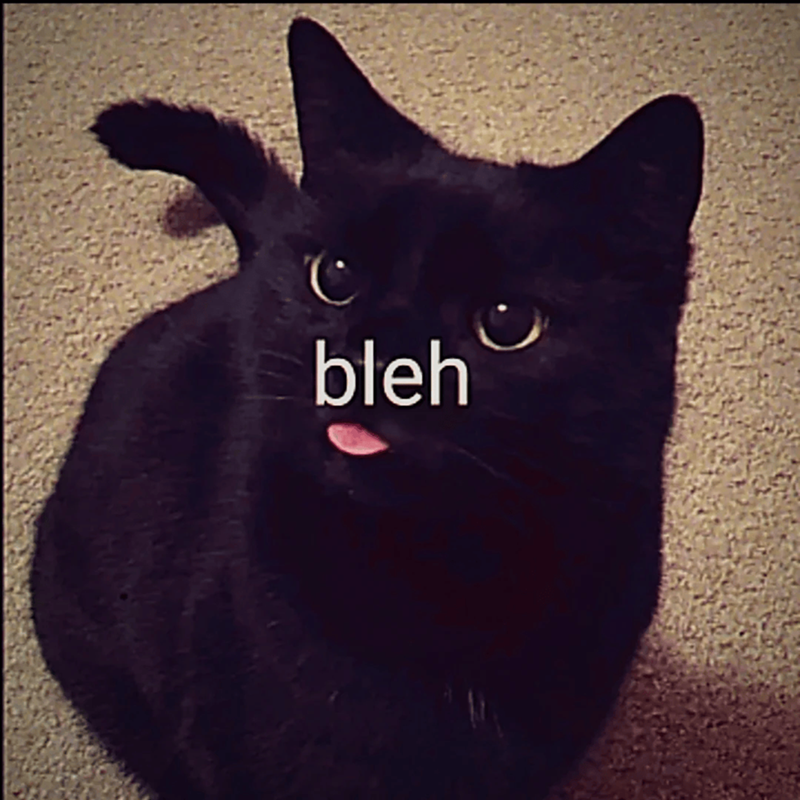 bleh ن