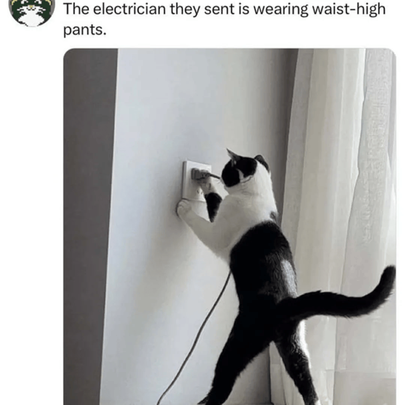 The electrician they sent is wearing waist-high pants.