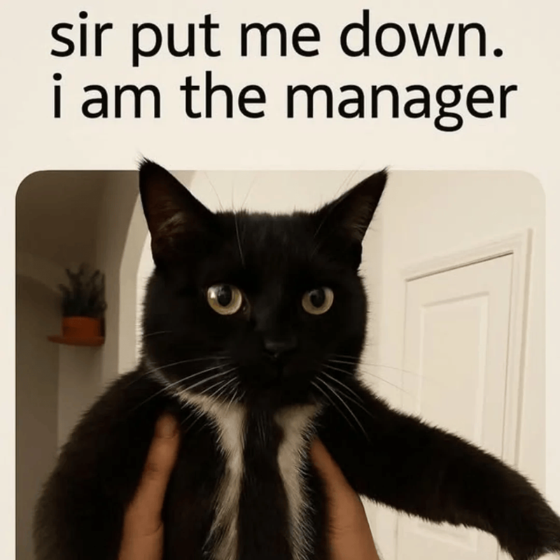 sir put me down. i am the manager