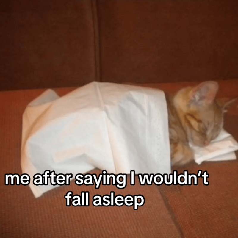 me after saying I wouldn't fall asleep