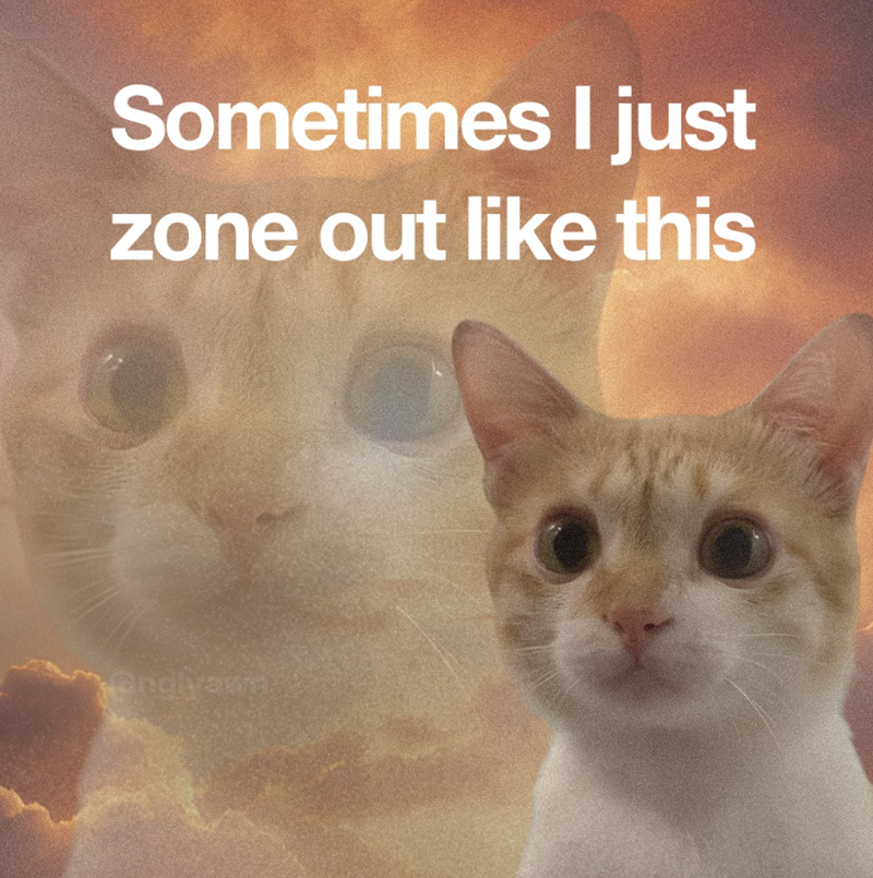 Sometimes I just zone out like this endlyawn