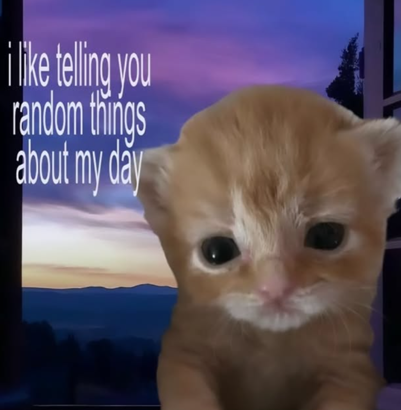 i like telling you random things about my day