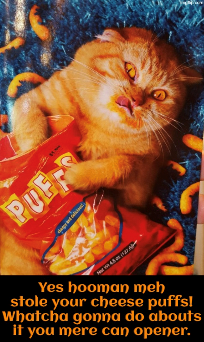 PUFFS cheesy and delicious! Net Wt 4.5 oz (127.60 Yes hooman meh stole your cheese puffs! Whatcha gonna do abouts it you mere can opener. imgflip.com