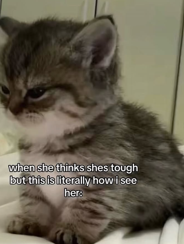 when she thinks shes tough but this is literally how i see her: