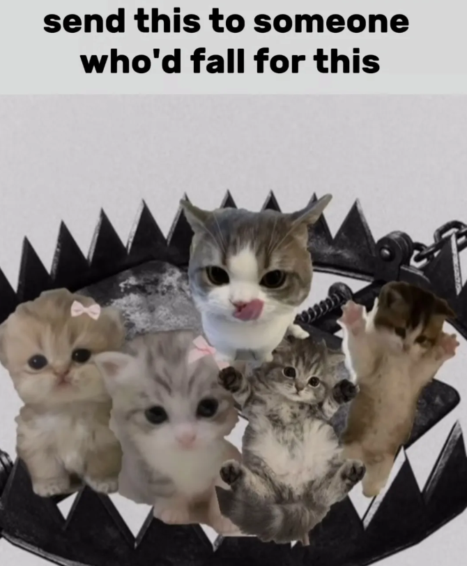 send this to someone who'd fall for this
