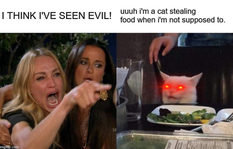 I THINK I'VE SEEN EVIL! food when i'm not supposed to. uuuh i'm a cat stealing imgflip.com H