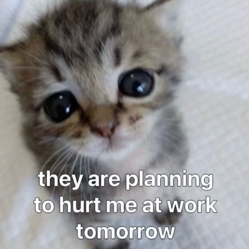 they are planning to hurt me at work tomorrow