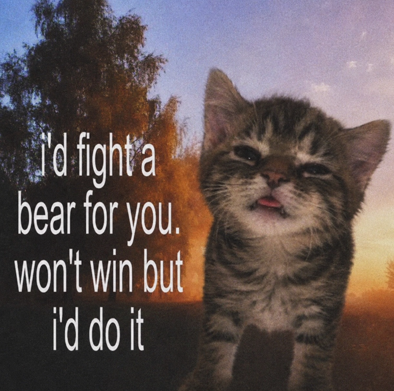 i'd fight a bear for you. won't win but i'd do it
