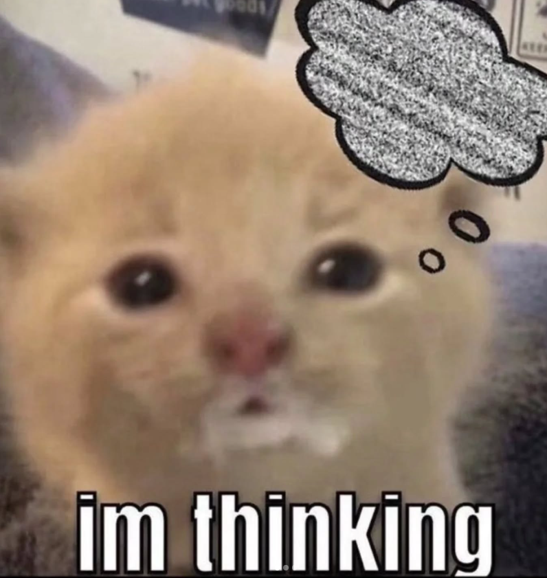 im thinking 0 0