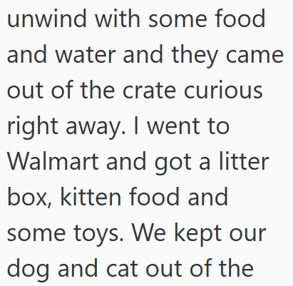 unwind with some food and water and they came out of the crate curious right away. I went to Walmart and got a litter box, kitten food and some toys. We kept our dog and cat out of the