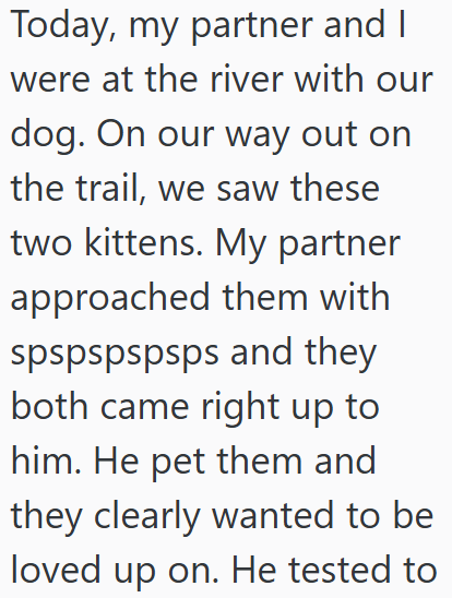 Today, my partner and I were at the river with our dog. On our way out on the trail, we saw these two kittens. My partner approached them with spspspspsps and they both came right up to him. He pet them and they clearly wanted to be loved up on. He tested to