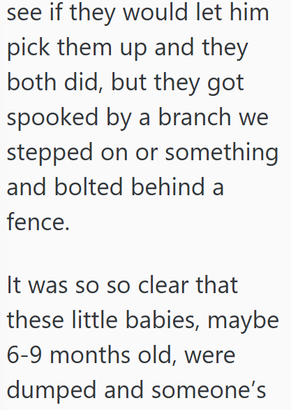 see if they would let him pick them up and they both did, but they got spooked by a branch we stepped on or something and bolted behind a fence. It was so so clear that these little babies, maybe 6-9 months old, were dumped and someone's