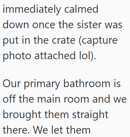 immediately calmed down once the sister was put in the crate (capture photo attached lol). Our primary bathroom is off the main room and we brought them straight there. We let them