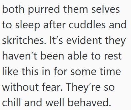 both purred them selves to sleep after cuddles and skritches. It's evident they haven't been able to rest like this in for some time without fear. They're so chill and well behaved.