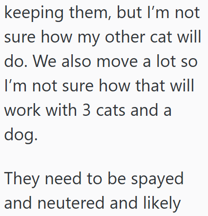 keeping them, but I'm not sure how my other cat will do. We also move a lot so I'm not sure how that will work with 3 cats and a dog. They need to be spayed and neutered and likely
