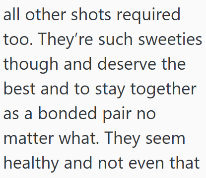 all other shots required too. They're such sweeties. though and deserve the best and to stay together as a bonded pair no matter what. They seem healthy and not even that