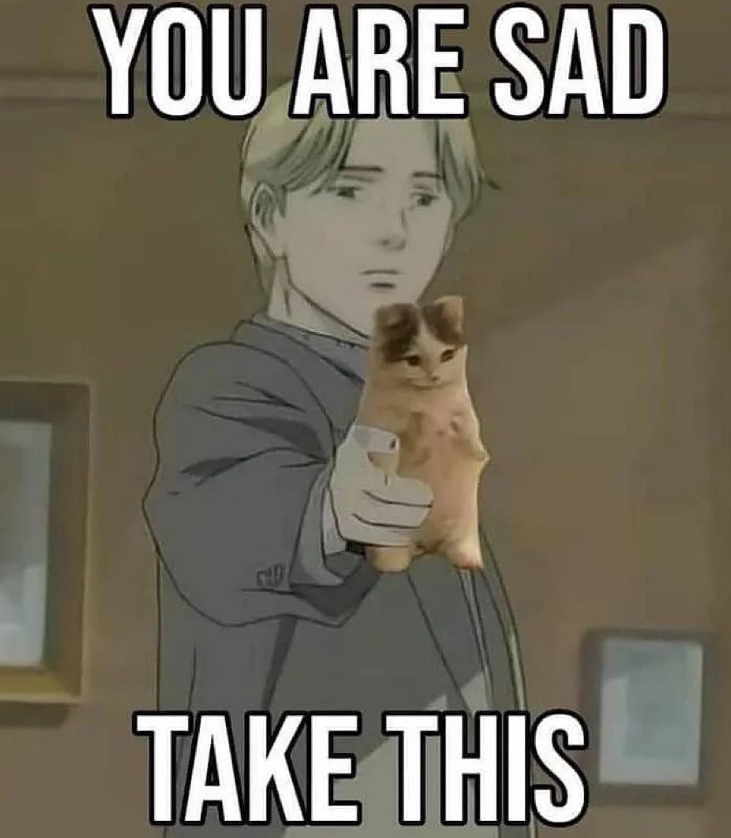 YOU ARE SAD TAKE THIS