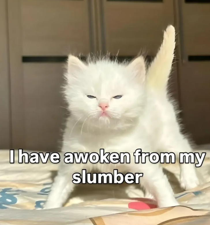 I have awoken from my slumber