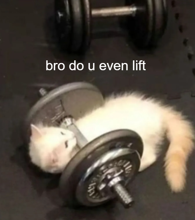 bro do u even lift