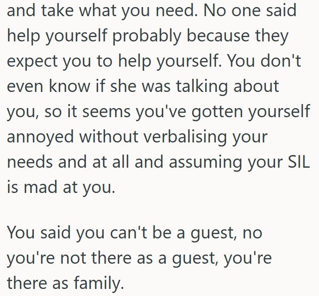and take what you need. No one said help yourself probably because they expect you to help yourself. You don't even know if she was talking about you, so it seems you've gotten yourself annoyed without verbalising your needs and at all and assuming your SIL is mad at you. You said you can't be a guest, no you're not there as a guest, you're there as family.